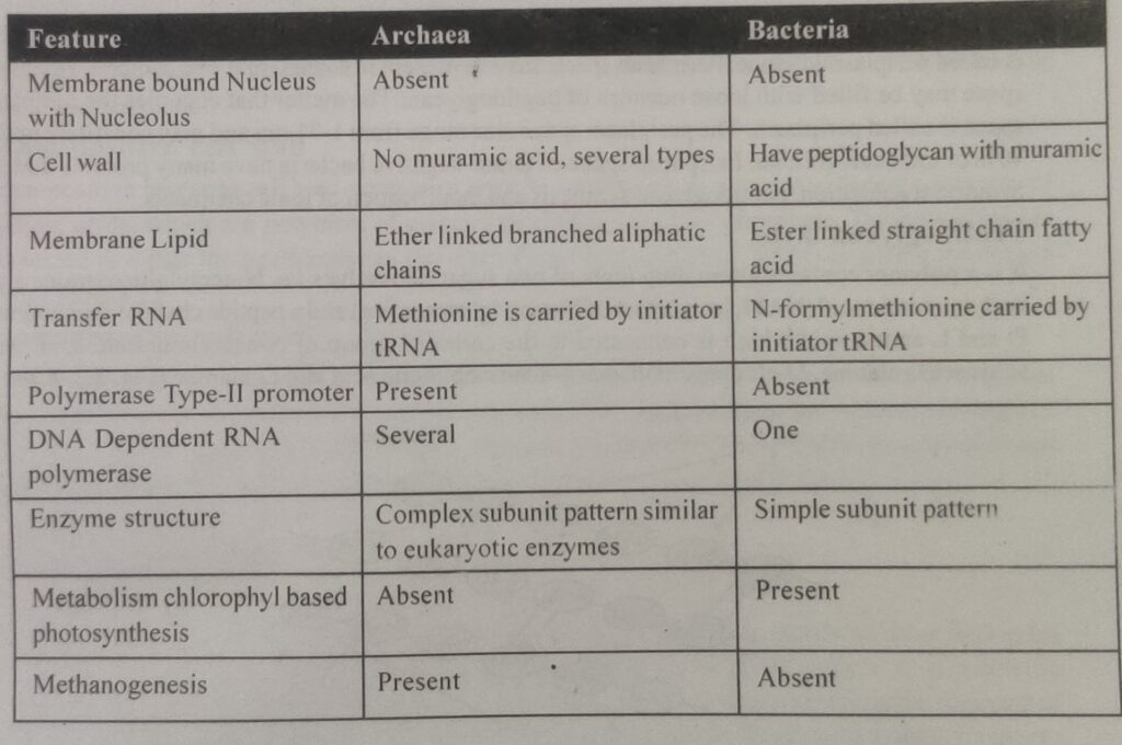 Archaea and Bacteria